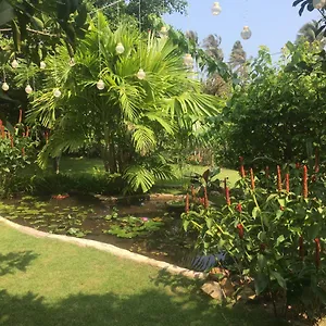 Le Jardin D'alice Phan Thiết