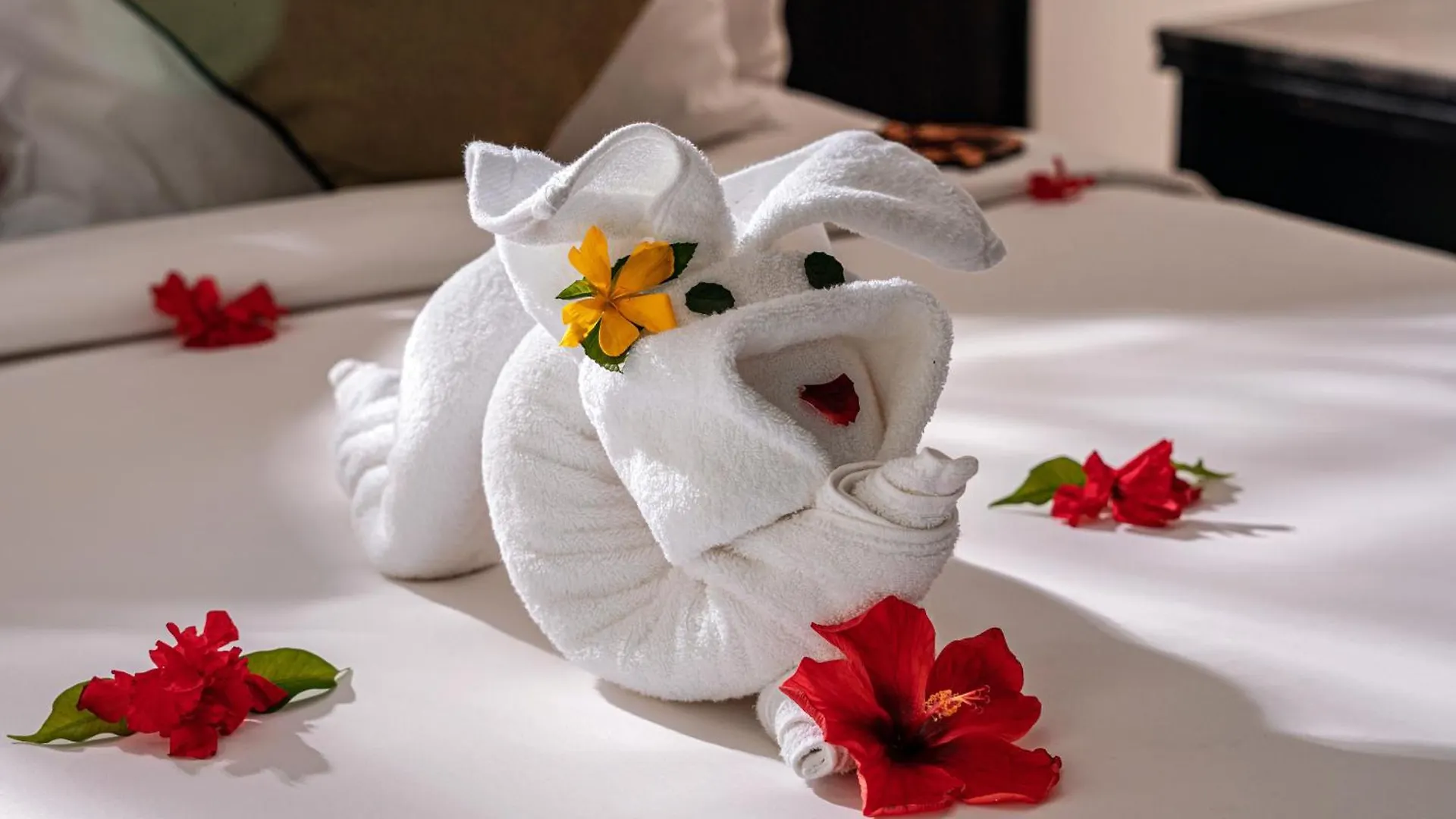 Koi Resort & Spa Хойан